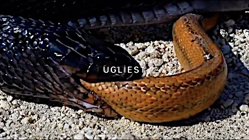$UICIDEBOY$ - Ugliest (Lyric Video)