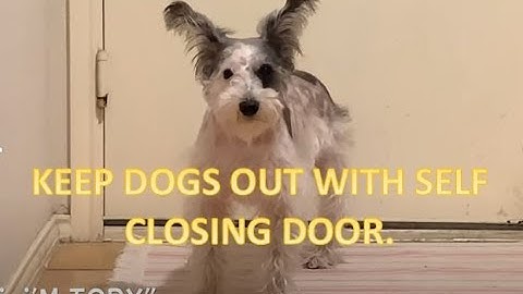 #DIY Project. Self closing door installation & tutorial