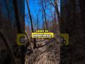 #growthmindset #soberlife #goals #motivation #hiking #trail #selflove #selftrust #changeishard #grow