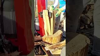 Log Splitter vs Acacia #logsplitter #firewood