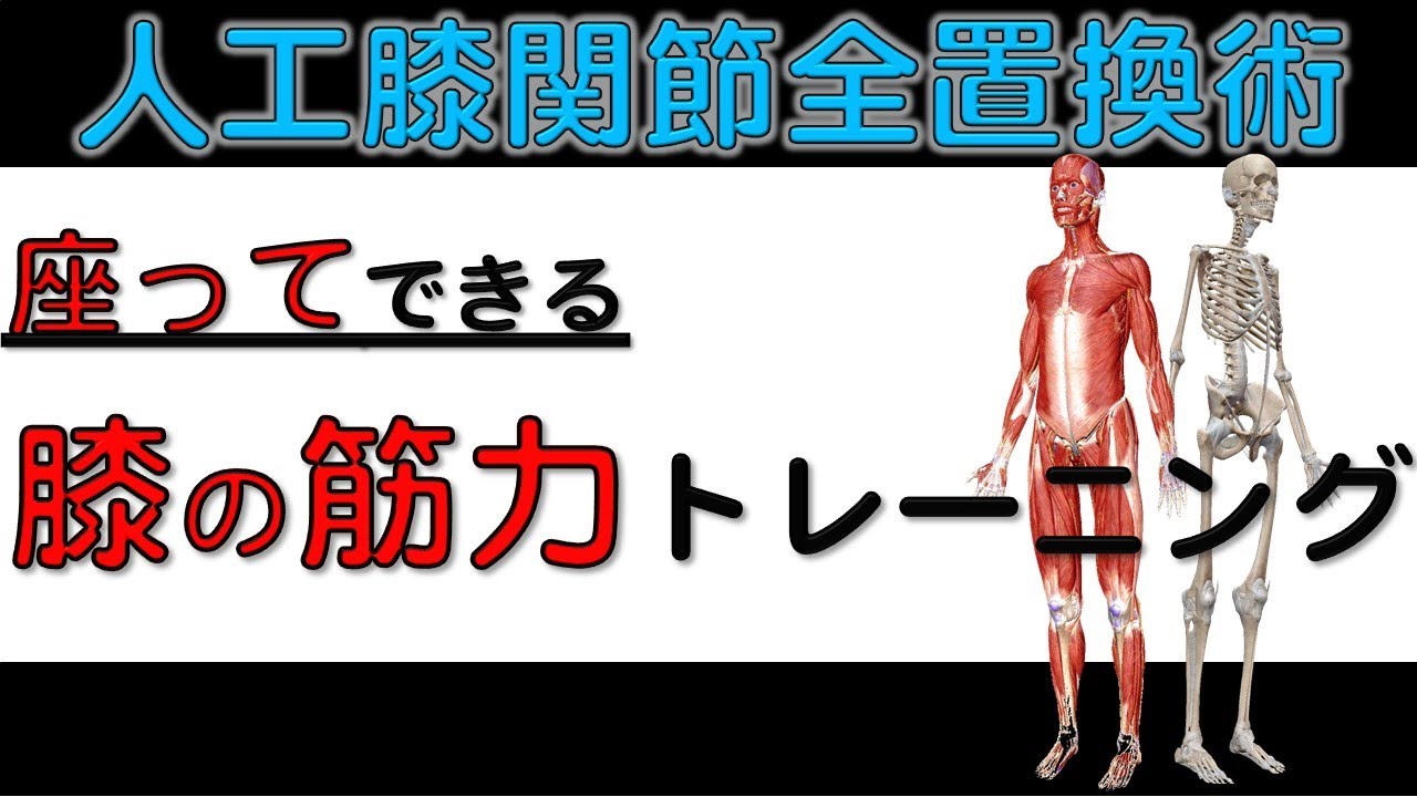 3. 【人工膝関節】の術後の筋力強化リハビリ！！－座ってできる－