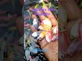Aquarium fish seed Naihati Rajendrapur fish market new video 2026 #naihati #fishmarket