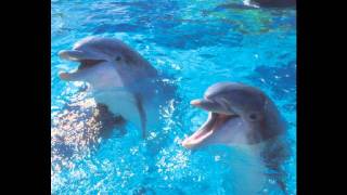 Relocate & Thomas Bronzwaer - Jetstream