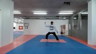 Wt Poomsae Taegeuk Pal Jang, Male Under 30, Daniel Morath, 0213