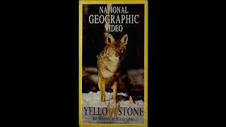 Opening to Yellowstone: The Realm of the Coyote (1998 Mexican VHS) [LIN 1.0 Analog Mono]
