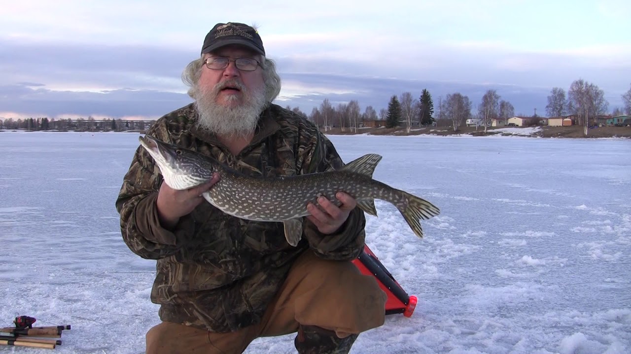 Alaskan Northern Pike Fishing w/ Mark Knapp Three Ways, Jigs, Baits