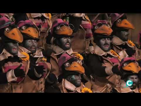 Coro, Los negros - Semifinales