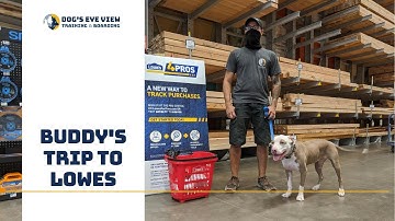 Teaching a reactive dog - Buddy