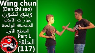 وينج تشون دان تشي ساو (مهارات اليد الملتصقة الواحدة) المقطع الاول  wing chun dan chi sao part 1