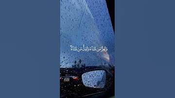 القارئ سعد الغامدي #quran