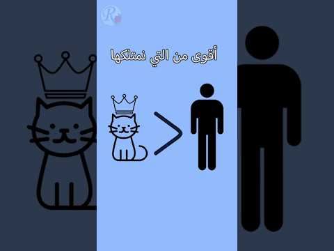 معلومة مع بلال 12 القطط  قناة روز للأطفال بدون موسيقى