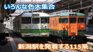 【いろんな色大集合!】新潟駅を発着する115系たち