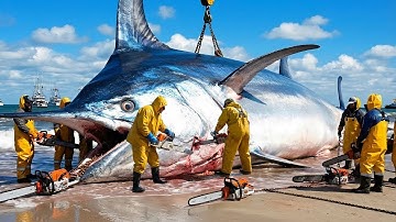 Giant Swordfish Hunt – Extreme Deep Sea Monster Fishing!