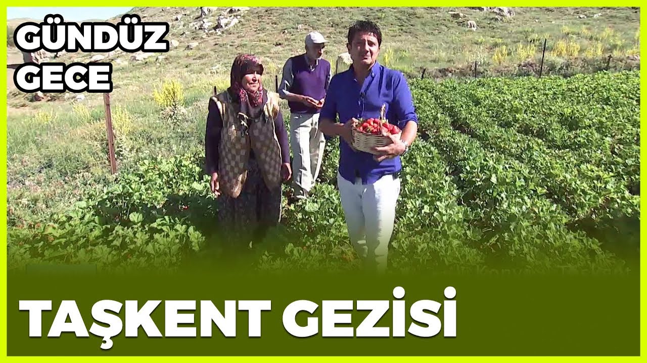 Gündüz Gece - Konya/Taşkent | 24 Ağustos 2019