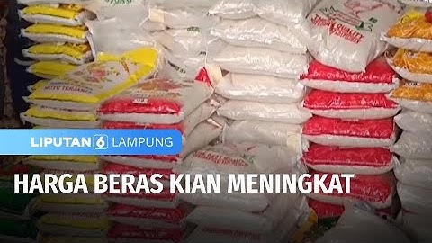 Harga Beras Kian Meningkat | Liputan 6 Lampung