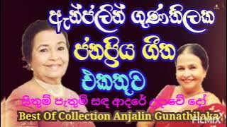 ඇන්ජලින් ගුණතිලක / සිතුම් පැතුම් සඳ ආදරේ / Anjalin Gunathilaka Best Of Collection /ඇන්ජලින් ගුණතිලක