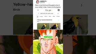Android 16 And His Birds