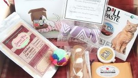KitNipBox September 2014 Review + Coupon - Cat Subscription Box