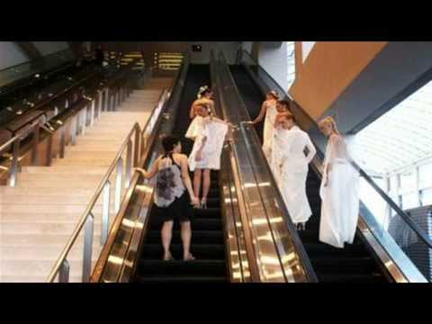 Stage Parades - Electric Catwalk