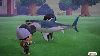 Animal Crossing New Horizons with mini E - with the homies :)
