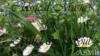 Classical Music for Relax and Studying | #asmrclassicalmusic #classicalmusic#studymusic#asmrstudy screenshot 4