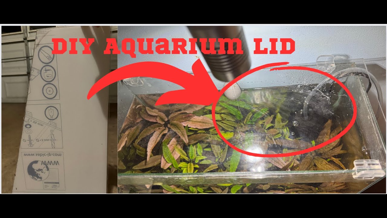 How To Make an Easy DIY Aquarium Lid (Works for rimless tanks) YouTube