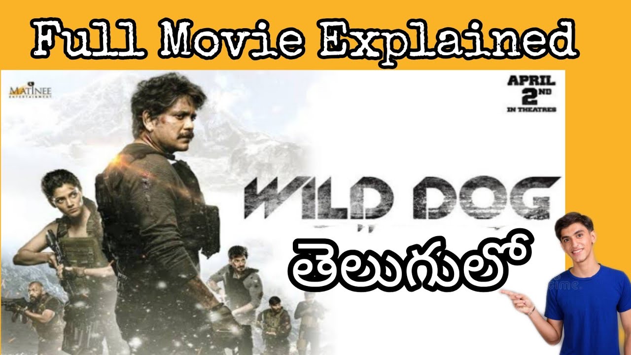 wild dog movie review 123telugu