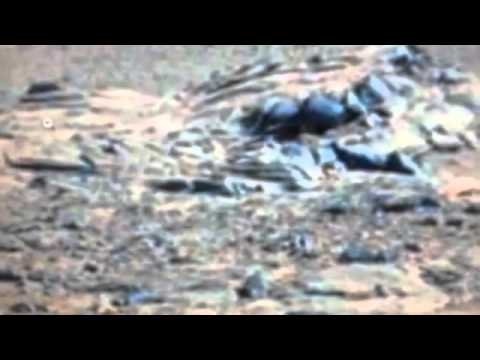 მარსზე ხის ჯვრიანი საფლავი