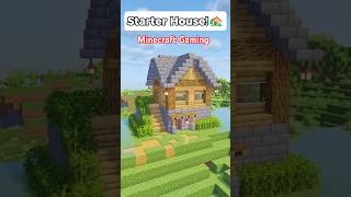 Minecraft's Easiest Starter House #minecraft #minecraftbuild