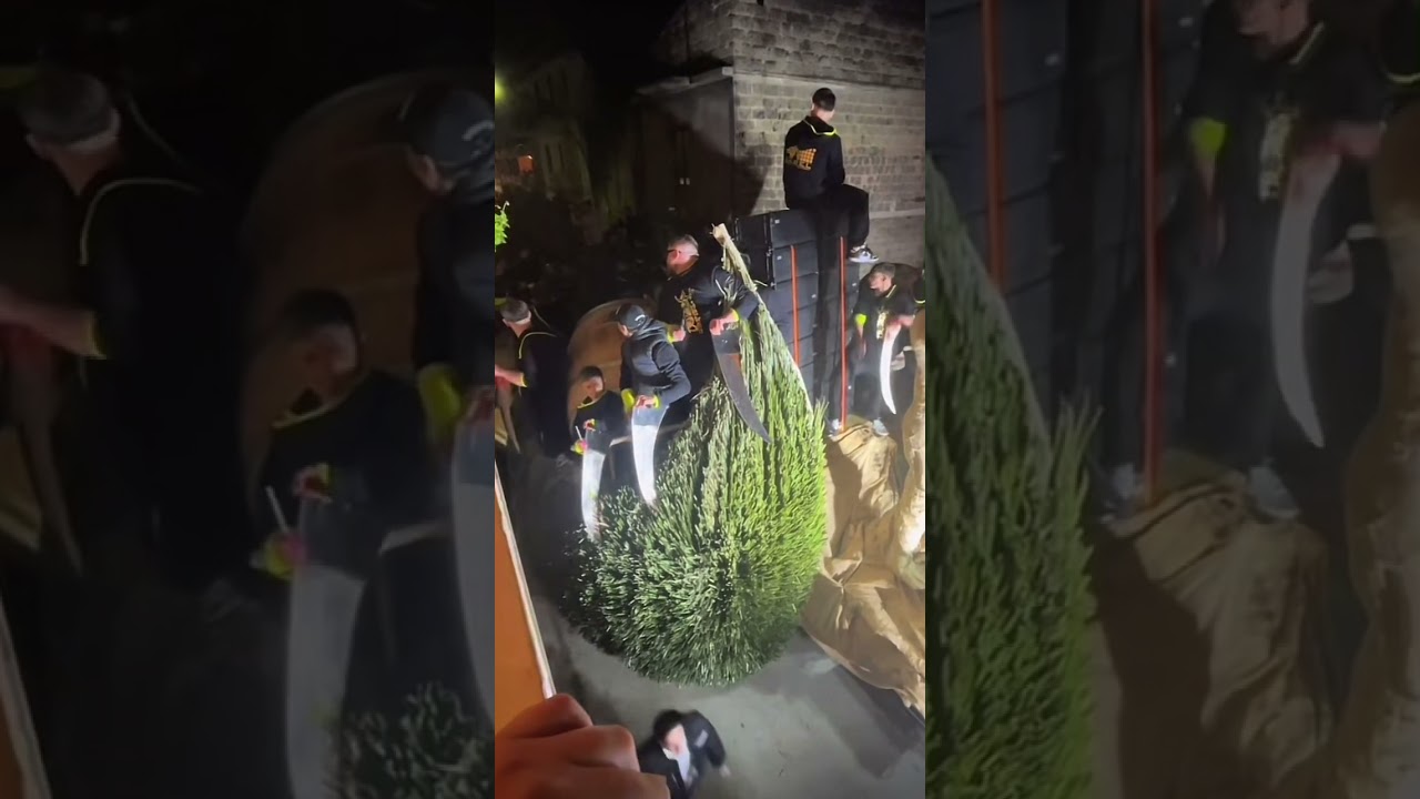 Carri Portico Di Caserta 2024 “O Rion E Sant’Antuono” (O’ Sian)