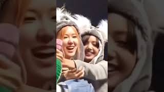 Chaelisa Sweet Moments Just Being Themselves chaelisaisreal chaelisa blackpink shorts