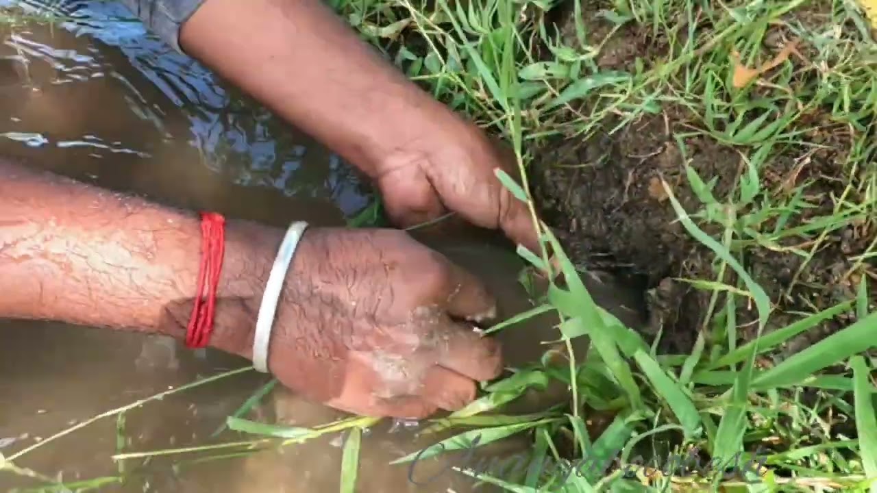 Grab Catching #AnanyaBoobesh #entertainment #kids #crab
