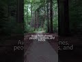 Life's Lesson: Log Out to Figure It Out!   #india #motivation #lifelessons #nature #shorts #ytshorts