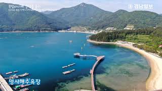 [쪽빛감성]구름 위의 산책