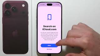 iPhone 18 Pro: как разрешить доступ к данным на сайте iCloud screenshot 5