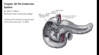 Human Anatomy and Physiology 2 Lecture Chapter 18 part 1