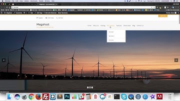 Megahost Demo Install