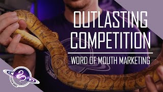 Ball Python Business Tips | Word of Mouth Marketing