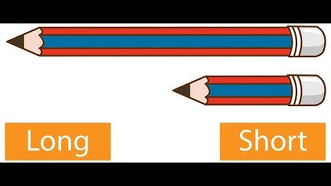 Long and Short | CBSE Math Magic | Class 3 | Chapter 4 | Introduction to Measuring of length