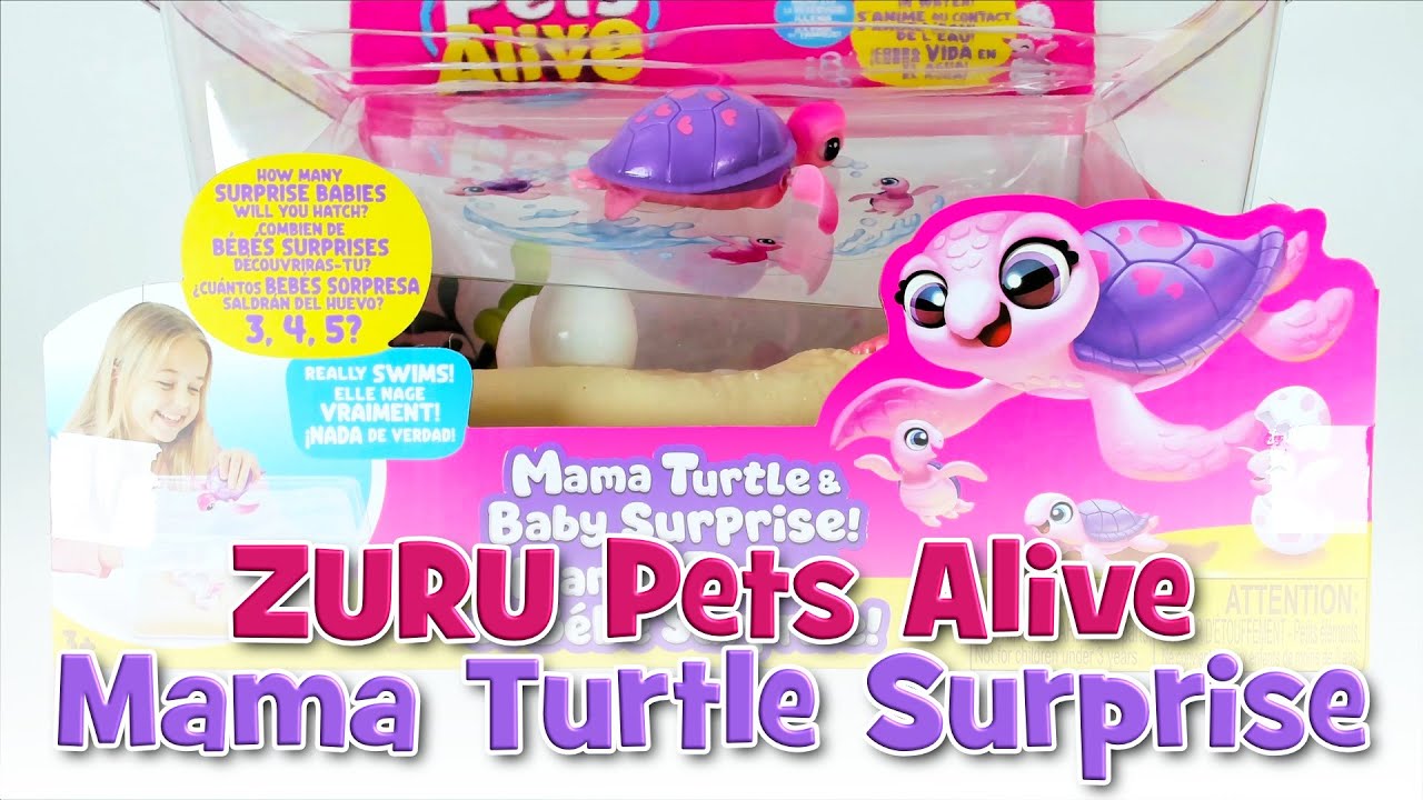 Schlüpfende SchildkrötenBABYS! 🐢 😍 | ZURU Pets Alive Mama Turle Surprise | UNBOXING