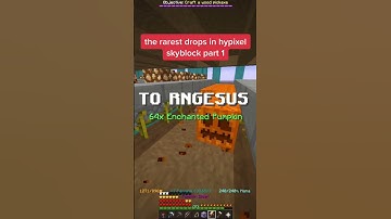 The Rarest Drops in Hypixel Skyblock! #Shorts