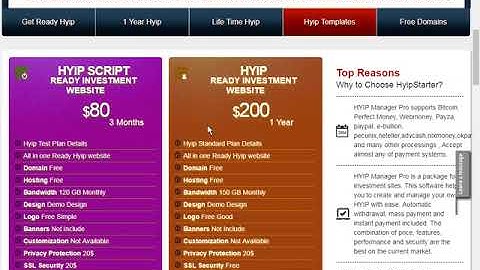get script make your own hyip website