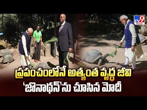 PM Modi Seychelles Visit : ప్రపంచంలోనే అత్యంత వృద్ధ జీవి 'జొనాథన్'ను చూసిన మోదీ - TV9 - TV9