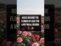 Valentine Day Roses symbolize love because of an ancient goddess. #ValentinesDay #Roses #Mythology