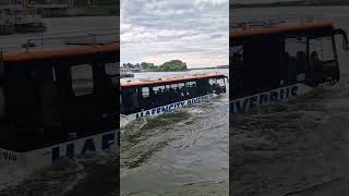 Swim-Bus Driving Into Water