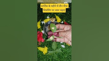 कार्तिक के महीने में तीन चीज शिवलिंग पर जरुर चढ़ाएं #pradeepmishrajidhankeupay #upay