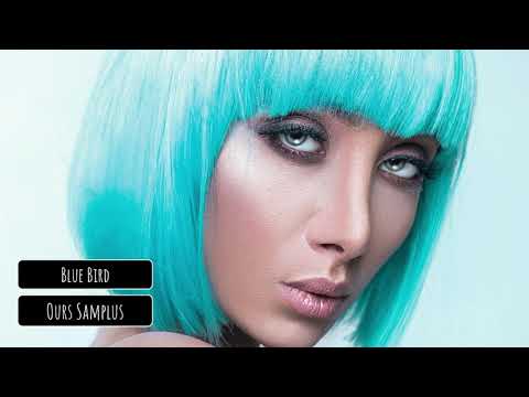 Ours Samplus - Blue Bird - YouTube