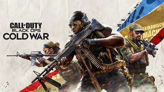 Call of Duty: Black Ops Cold War (Seize the Server)