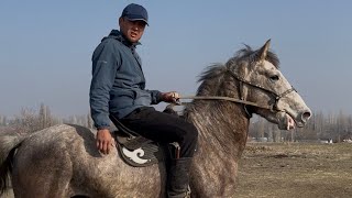 Дыйкандын Аты +996-773-575-251.  7 января 2026 г.