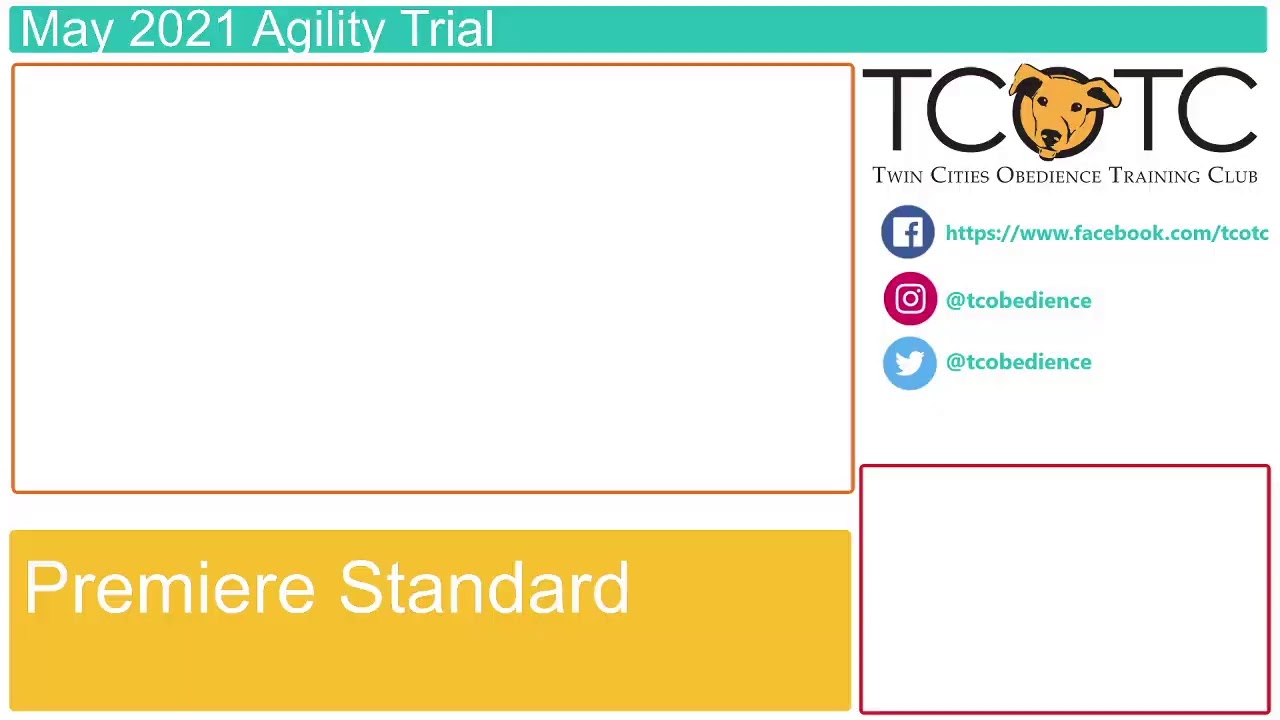 Twin Cities Obedience Training Club Live Stream